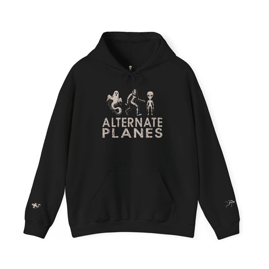 Alternate Planes Unisex Hoodie - Perfect for Ghost Lovers, Alien Enthusiasts, Cozy Nights, Gift Idea, Bigfoot
