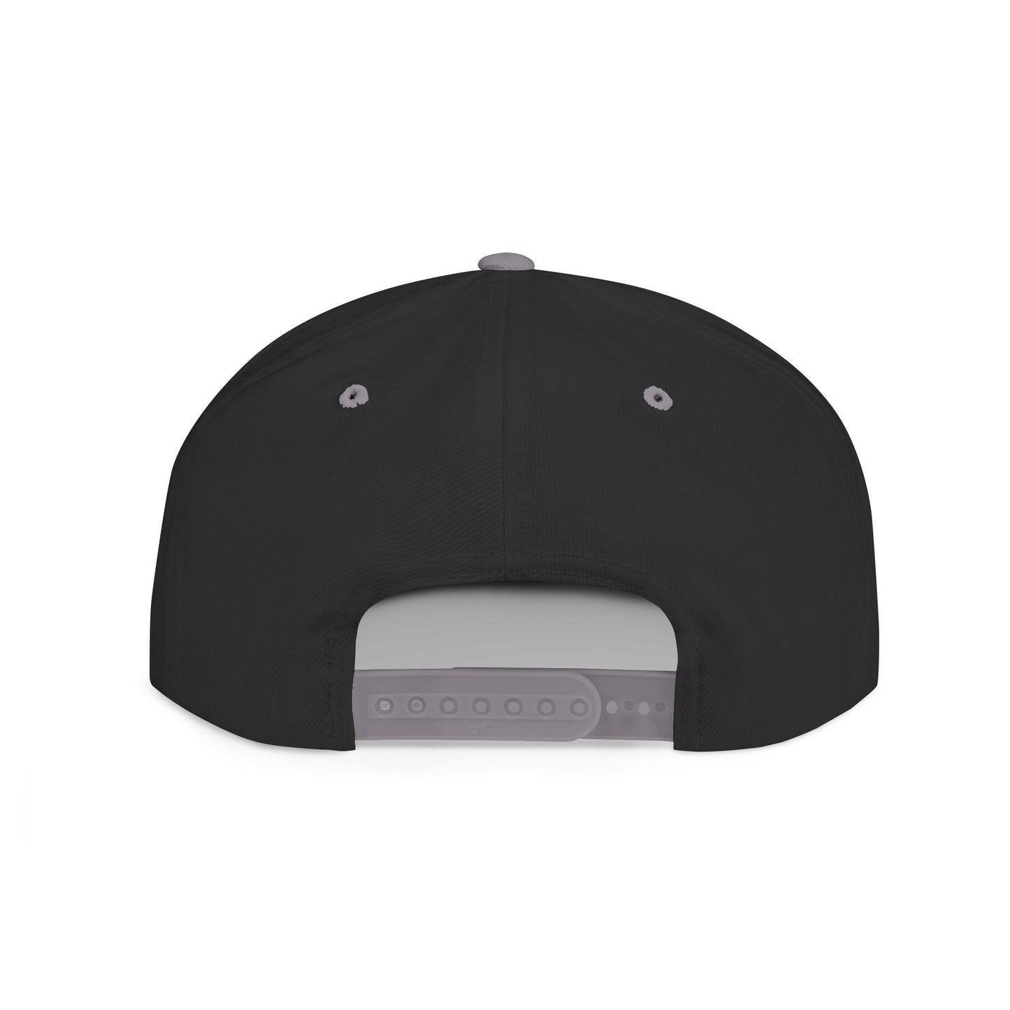Alternate Planes Flat Bill Snapback Hat, Trendy Baseball Cap, Streetwear Accessory, Gift for Him, Outdoor Style