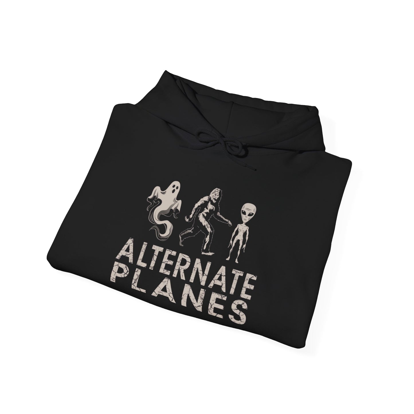 Alternate Planes Unisex Hoodie - Perfect for Ghost Lovers, Alien Enthusiasts, Cozy Nights, Gift Idea, Bigfoot