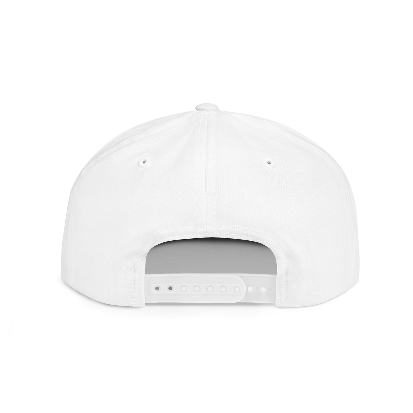 Alternate Planes Flat Bill Snapback Hat, Trendy Baseball Cap, Streetwear Accessory, Gift for Him, Outdoor Style