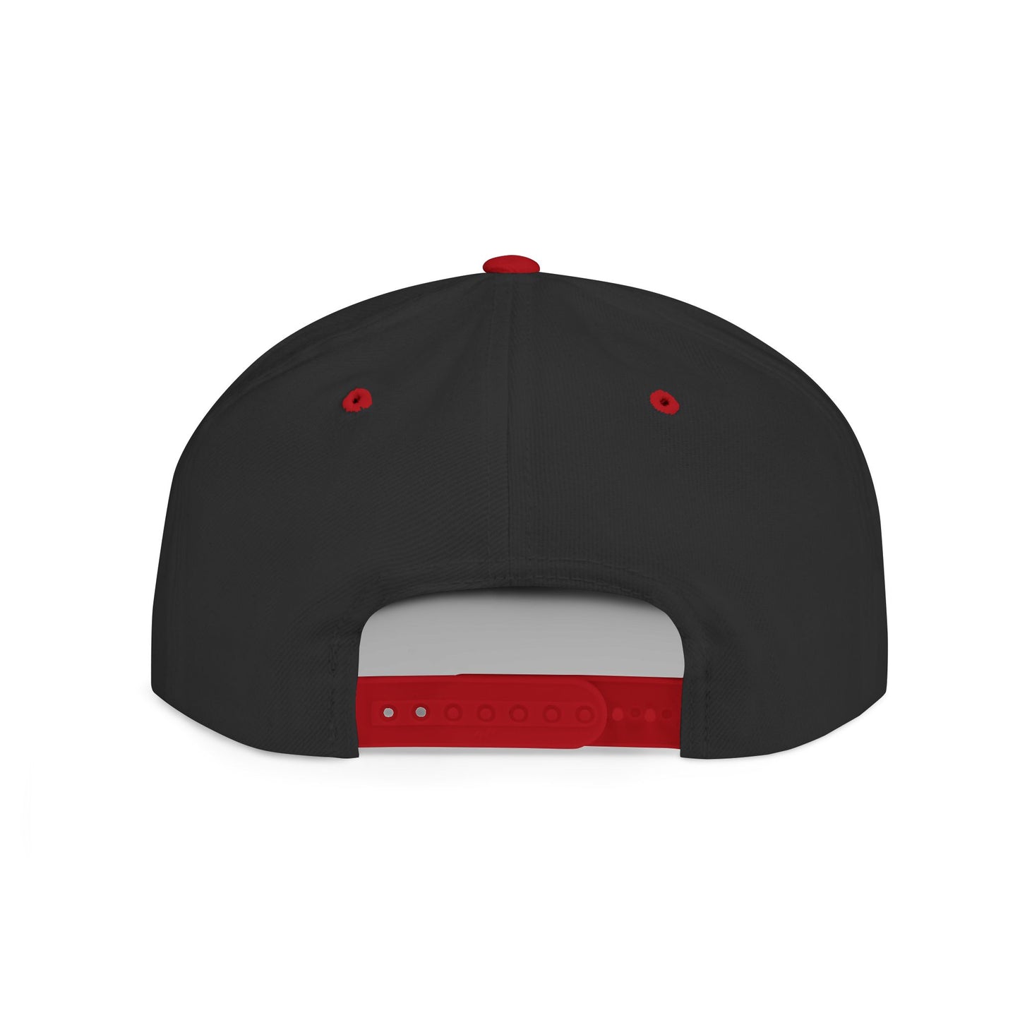 Alternate Planes Flat Bill Snapback Hat, Trendy Baseball Cap, Streetwear Accessory, Gift for Him, Outdoor Style