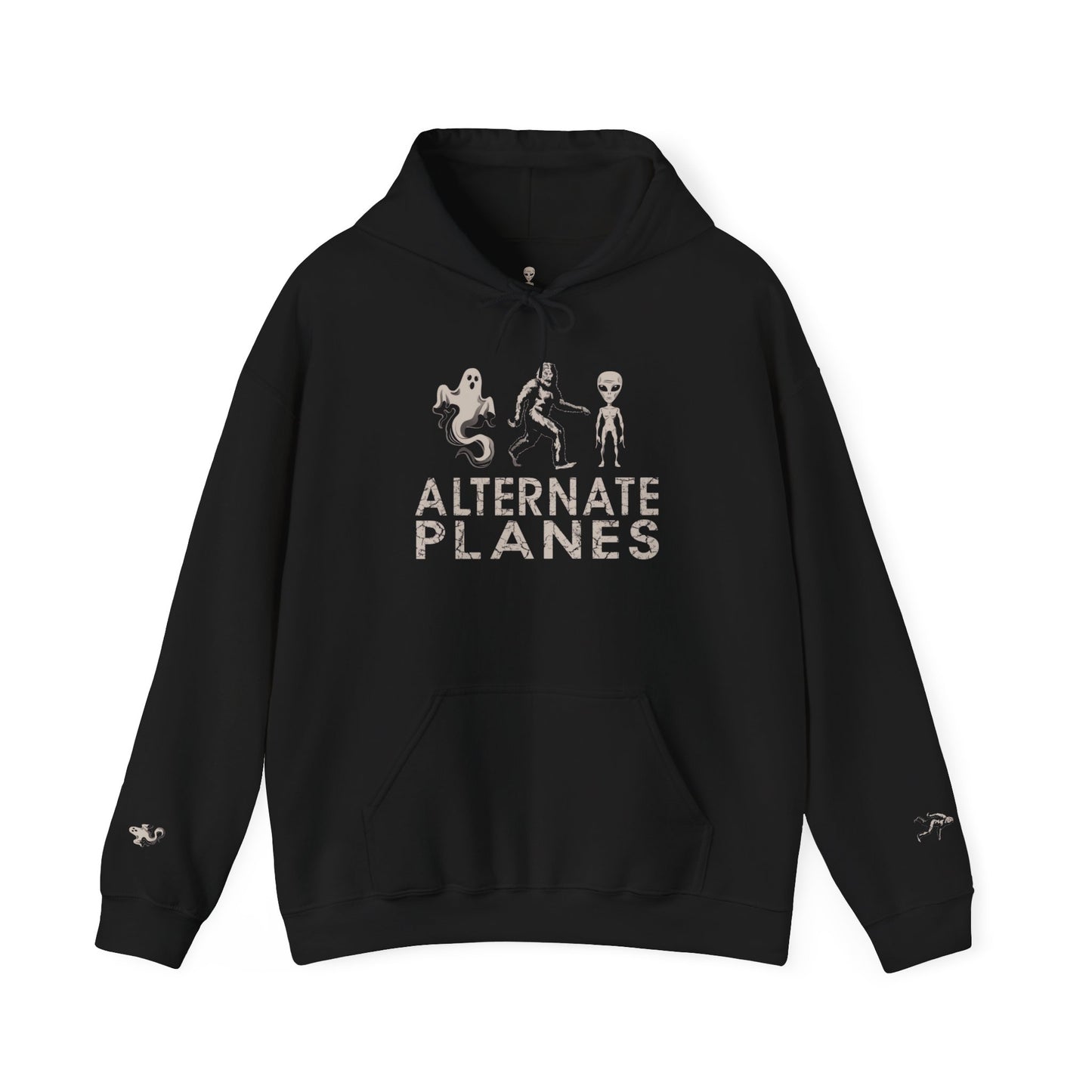 Alternate Planes Unisex Hoodie - Perfect for Ghost Lovers, Alien Enthusiasts, Cozy Nights, Gift Idea, Bigfoot