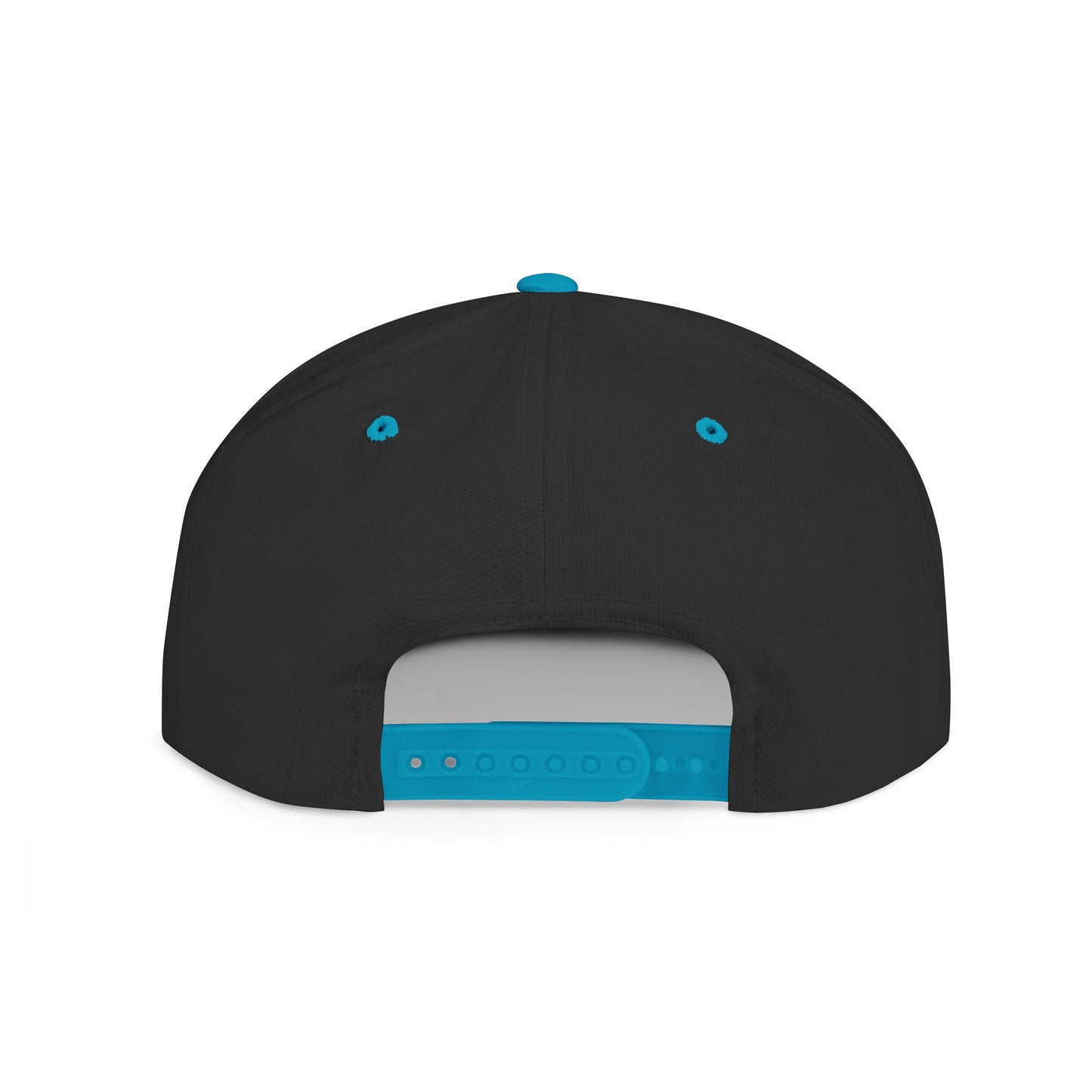 Alternate Planes Flat Bill Snapback Hat, Trendy Baseball Cap, Streetwear Accessory, Gift for Him, Outdoor Style