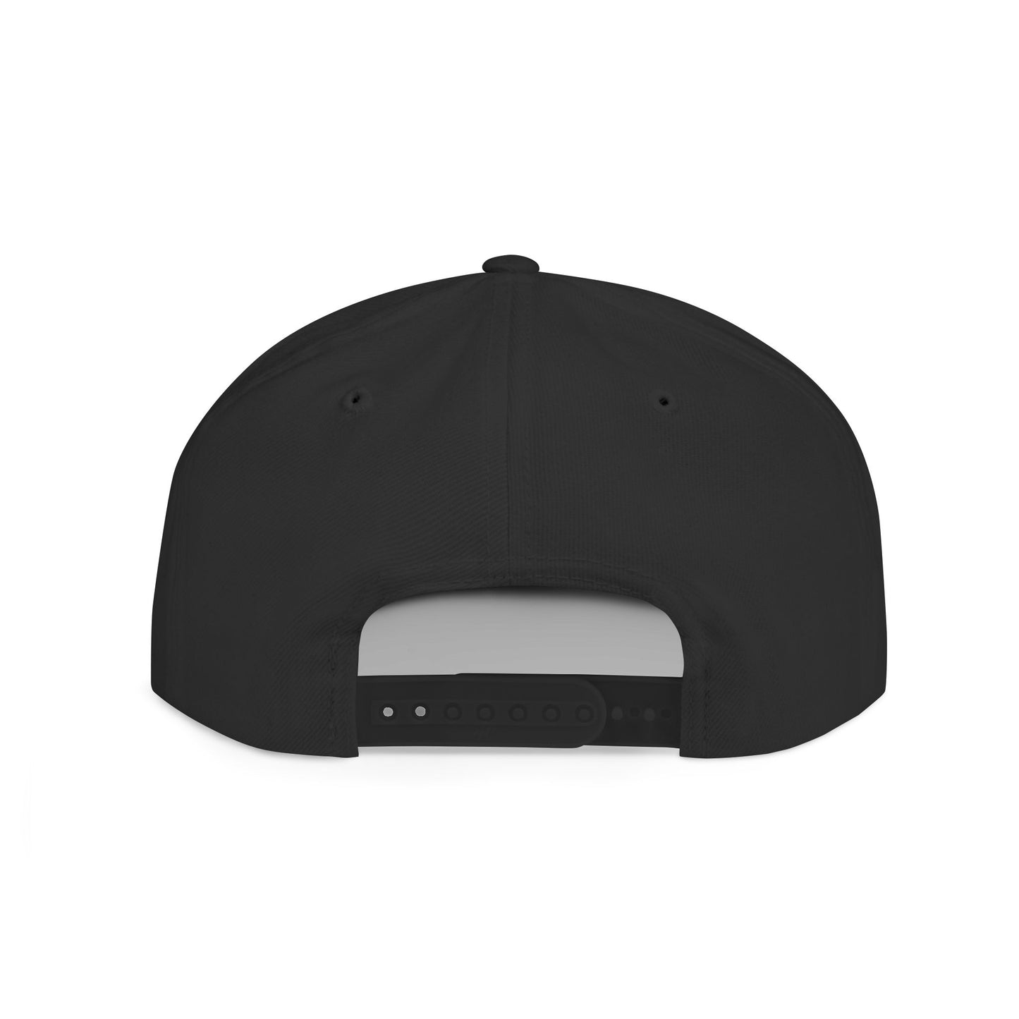Alternate Planes Flat Bill Snapback Hat, Trendy Baseball Cap, Streetwear Accessory, Gift for Him, Outdoor Style